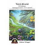 Versi Diversi 11 a cura di Berniero Barra, Cosimo Clemente e Filomena Domini